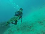 Hawaii Scuba divng 11