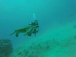 Hawaii Scuba divng 13