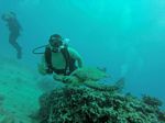 Hawaii Scuba divng 22