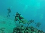 Hawaii Scuba divng 23