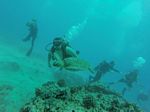 Hawaii Scuba divng 24