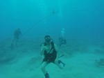 Hawaii Scuba divng 26