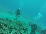 Hawaii Scuba divng 28