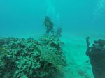 Hawaii Scuba divng 29