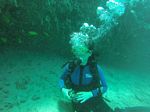 Hawaii Scuba divng 02