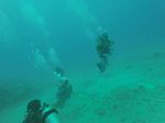 Hawaii Scuba divng 35