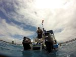 Hawaii Scuba divng 36