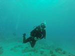 Hawaii Scuba divng 37