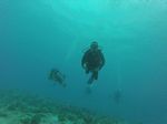 Hawaii Scuba divng 38