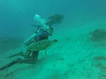 Hawaii Scuba divng 03