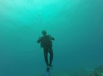 Hawaii Scuba divng 40