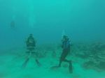 Hawaii Scuba divng 42