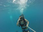 Hawaii Scuba divng 44