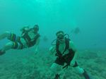 Hawaii Scuba divng 57