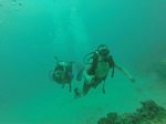 Hawaii Scuba divng 61