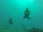 Hawaii Scuba divng 63