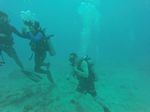 Hawaii Scuba divng 66