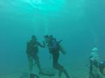 Hawaii Scuba divng 67