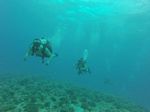 Hawaii Scuba divng 68