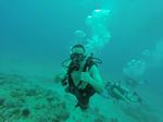 Hawaii Scuba divng 73