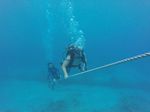 Hawaii Scuba divng 74