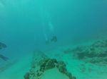 Hawaii Scuba divng 82