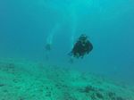 Hawaii Scuba divng 86