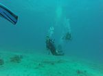 Hawaii Scuba divng 88