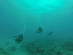 Hawaii Scuba divng 90