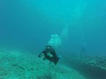 Hawaii Scuba divng 91