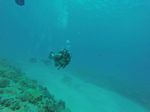 Hawaii Scuba divng 93