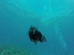 Hawaii Scuba divng 94