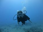 Hawaii Scuba divng 11