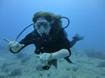 Hawaii Scuba divng 13