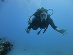 Hawaii Scuba divng 18