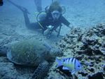 Hawaii Scuba divng 21