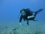 Hawaii Scuba divng 27