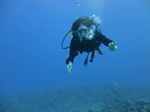 Hawaii Scuba divng 28