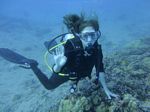 Hawaii Scuba divng 33