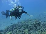 Hawaii Scuba divng 34