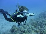 Hawaii Scuba divng 35