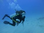 Hawaii Scuba divng 36