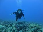 Hawaii Scuba divng 38