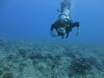 Hawaii Scuba divng 49