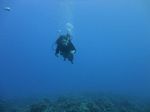 Hawaii Scuba divng 51