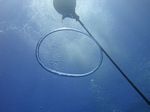 Oahu scuba 55
