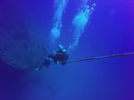 Hawaii Scuba divng 13