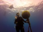 Hawaii Scuba divng 16