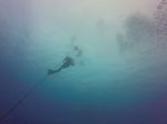 Hawaii Scuba divng 17