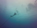 Hawaii Scuba divng 17